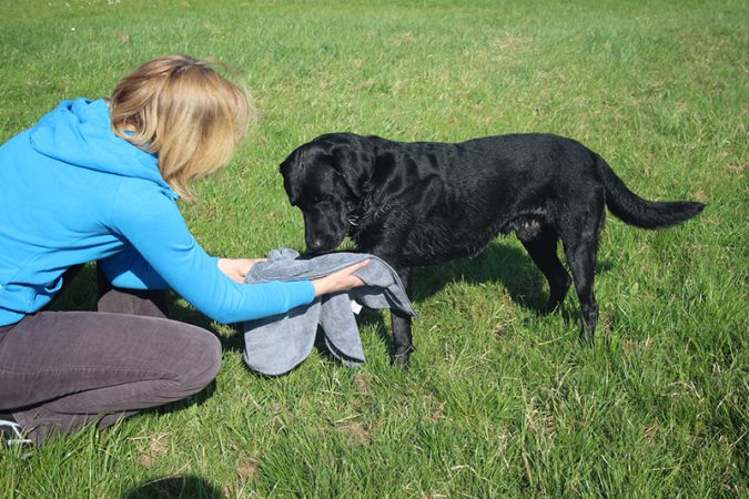 Hundenhandtuch im Gebrauch 3