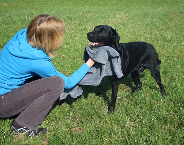 Hundenhandtuch im Gebrauch 5