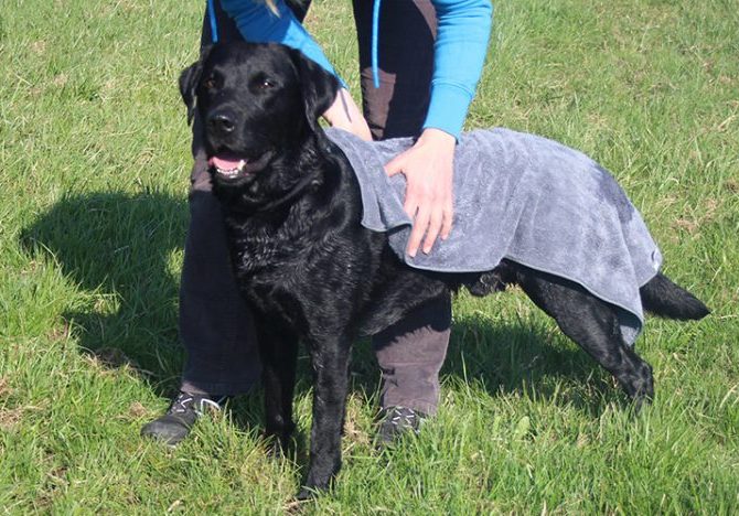 Hundenhandtuch grau im Gebrauch 2