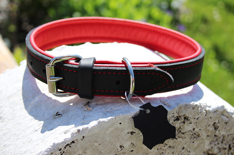 Leder Hundehalsband verstellbar schwarz-rot auf Stein