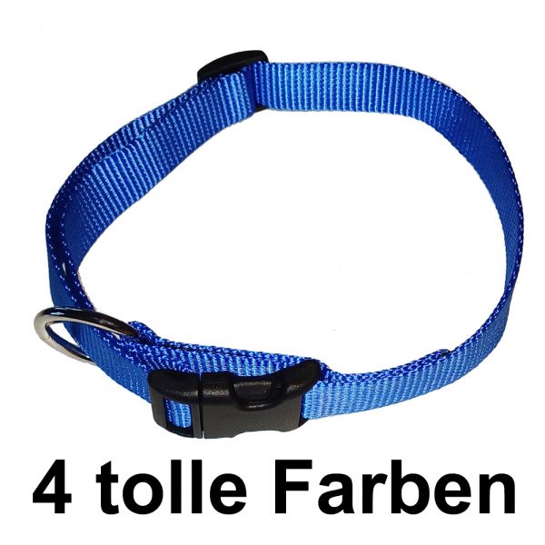 Hauptbild Hundehalsband Nylon