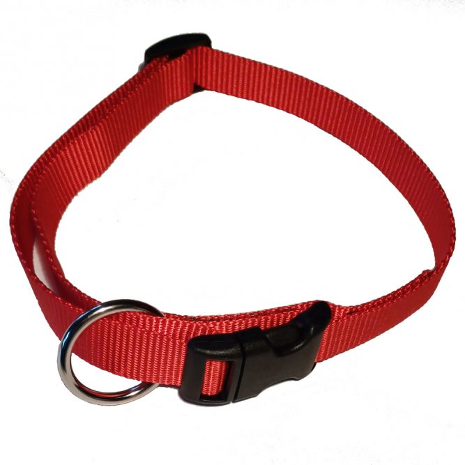 Nylon-Hundehalsband stufenlos verstellbar rot 38cm bis 55 cm Startbild