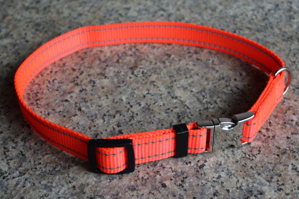 Nylon-Hundehalsband reflektierend stufenlos verstellbar 38cm bis 55 cm geschlossen