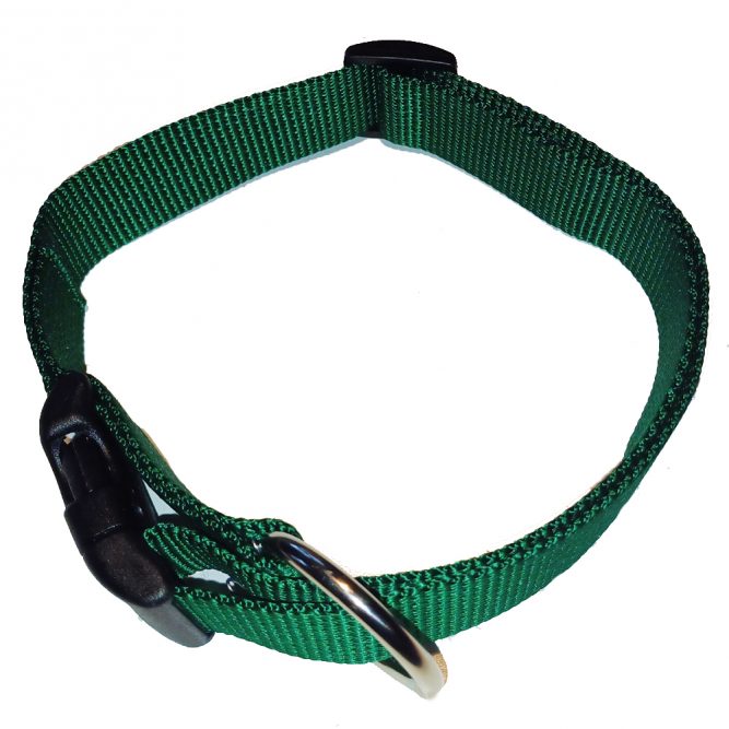 Nylon-Hundehalsband stufenlos verstellbar grün 38cm bis 55 cm Startbild