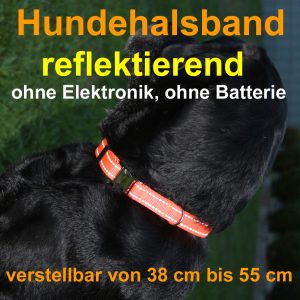 Hundehalsband reflektierend stufenlos verstellbar