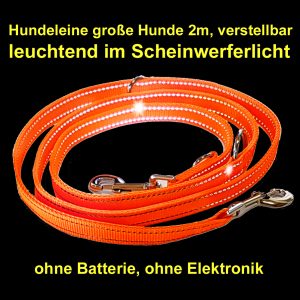 Leine reflektierend 2m verstellbar