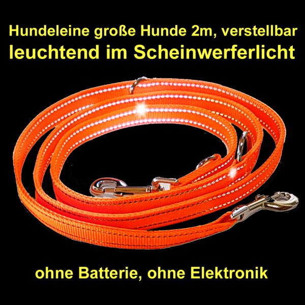 Leine reflektierend 2m verstellbar